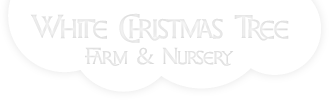 White Christmas Tree Farm and Nursery